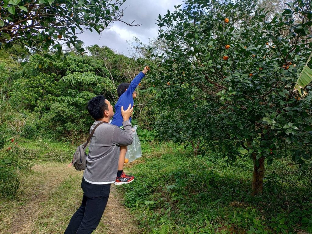 子供と楽しいキャンプ体験